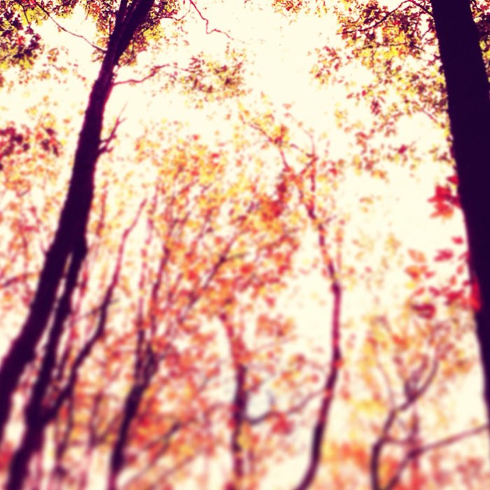Autumn Red Coffee Mug Gallery Image 2