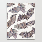Bat Collection Notebook Gallery Image 4