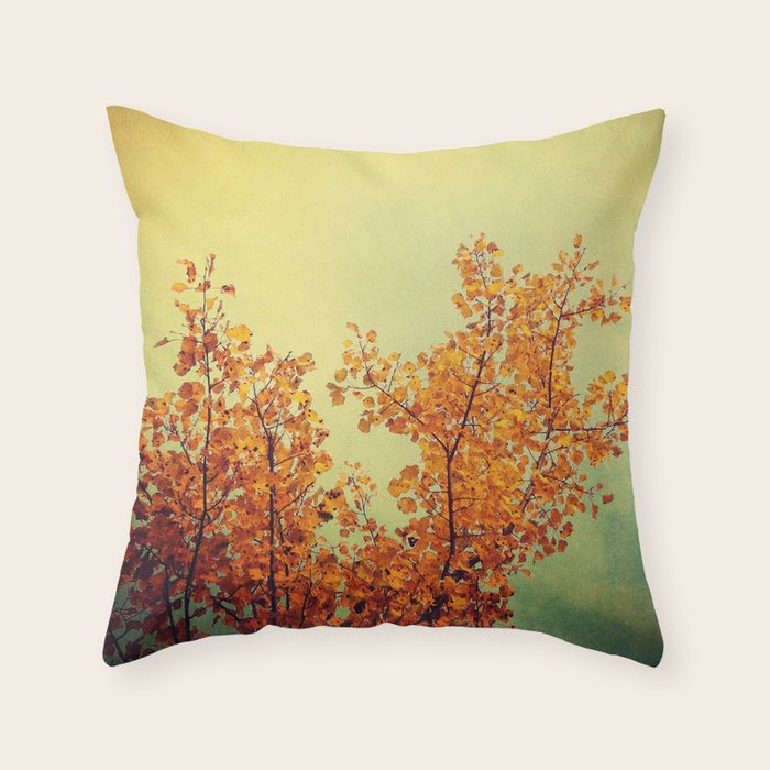 Journeys Throw Pillow Gallery Image 1
