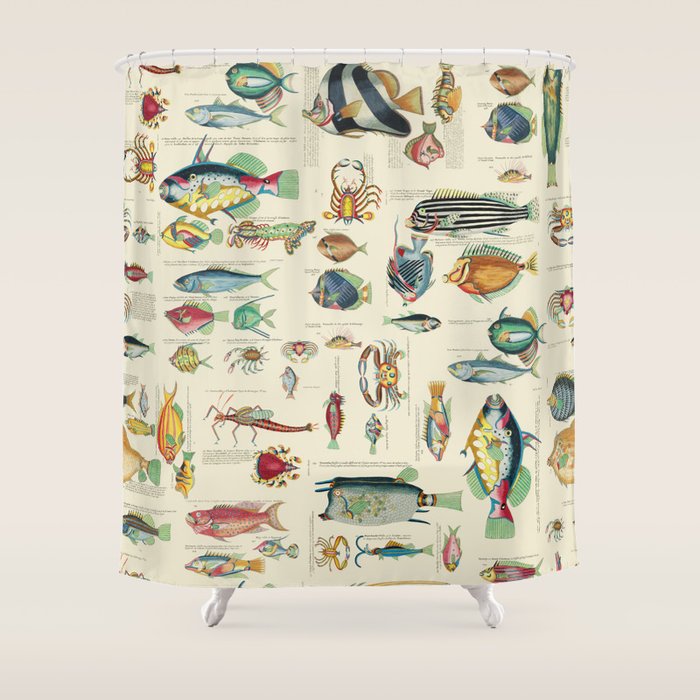 Multicolor  Vintage Fish And Sea Life Illustration Shower Curtain Gallery Image 1