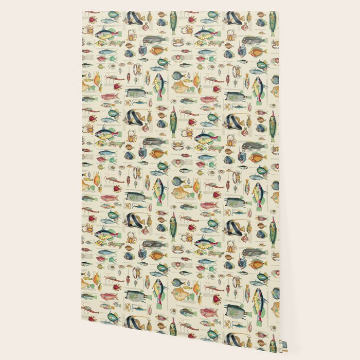 Multicolor  Vintage Fish And Sea Life Illustration Wallpaper Gallery Image 2