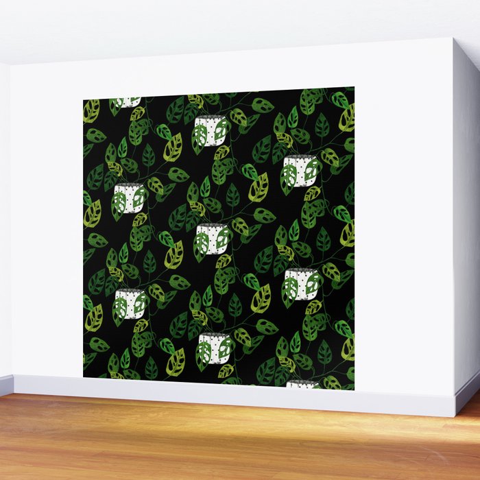 Back monstera obliqua Wall Mural Gallery Image 2