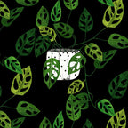 Back monstera obliqua Coffee Mug Gallery Image 2