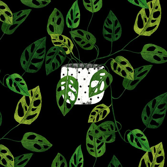 Back monstera obliqua Coffee Mug Gallery Image 2