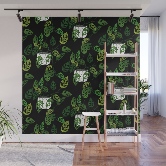 Back monstera obliqua Wall Mural Gallery Image 1