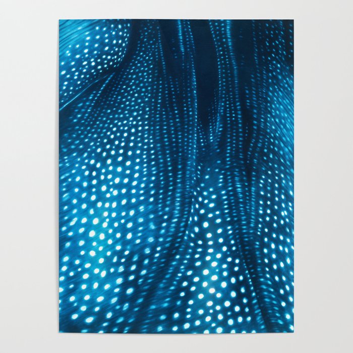 Whale Shark Stars Poster Gallery Image 4