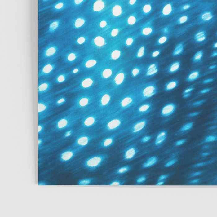 Whale Shark Stars Poster Gallery Image 3