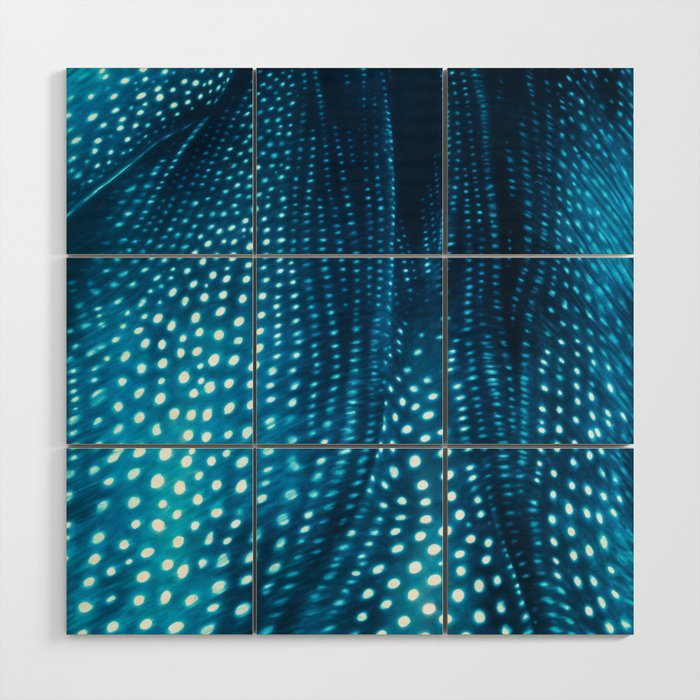 Whale Shark Stars Wood Wall Art Gallery Image 1