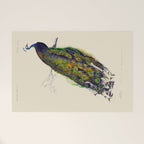 Vintage Peacock Welcome Mat Gallery Image 1