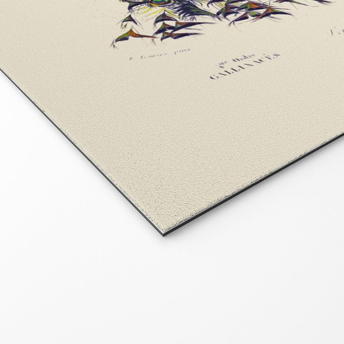 Vintage Peacock Welcome Mat Gallery Image 2