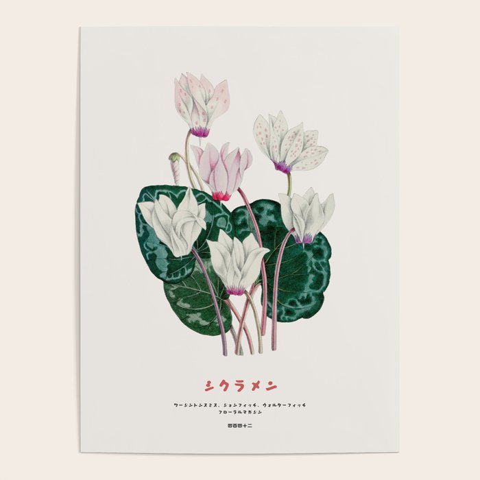 Cyclamen Flowers in Japandi style Poster Gallery Image 1