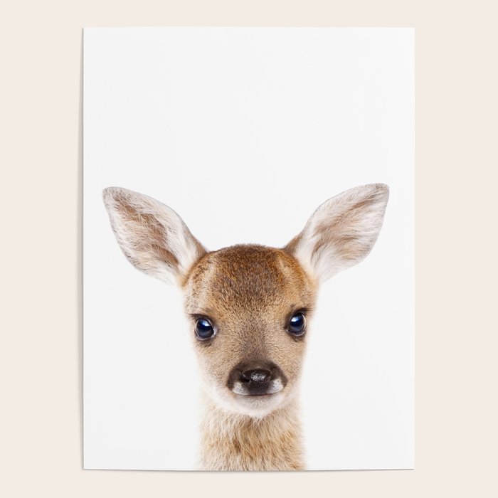 Baby Deer, Woodland Animals, Kids Art, Baby Animals Art Print By Synplus Poster Gallery Image 1