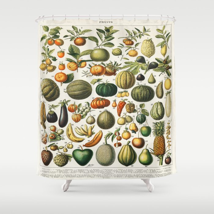 Vintage Scientific Illustration Fruits Botanical Floral Lithograph Encyclopaedia Diagrams  Shower Curtain Gallery Image 1