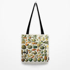 Vintage Scientific Illustration Fruits Botanical Floral Lithograph Encyclopaedia Diagrams  Tote Bag Gallery Image 2