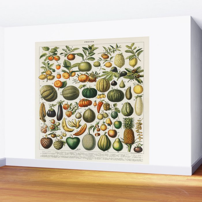Vintage Scientific Illustration Fruits Botanical Floral Lithograph Encyclopaedia Diagrams  Wall Mural Gallery Image 2
