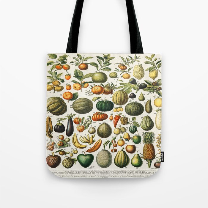 Vintage Scientific Illustration Fruits Botanical Floral Lithograph Encyclopaedia Diagrams  Tote Bag Gallery Image 1