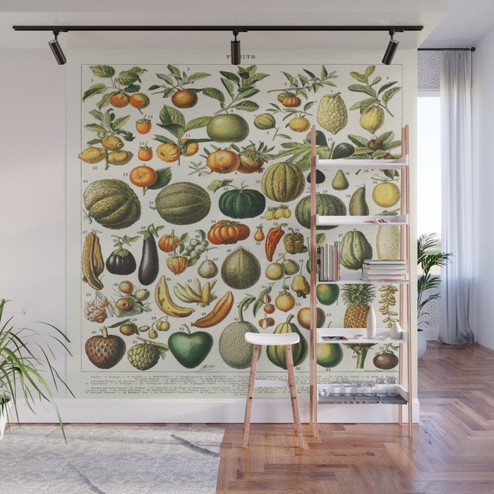 Vintage Scientific Illustration Fruits Botanical Floral Lithograph Encyclopaedia Diagrams  Wall Mural Gallery Image 1