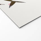 Line Fish Welcome Mat Gallery Image 2