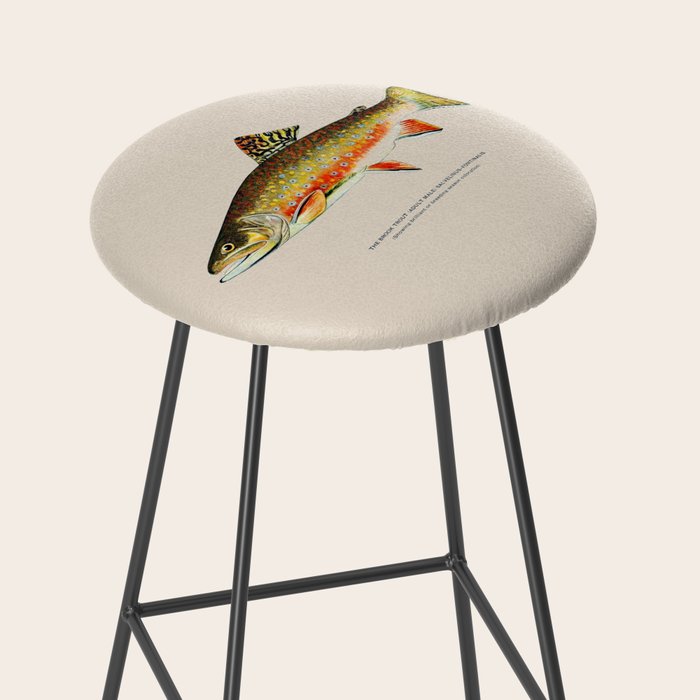 Brook Trout Stool Gallery Image 2