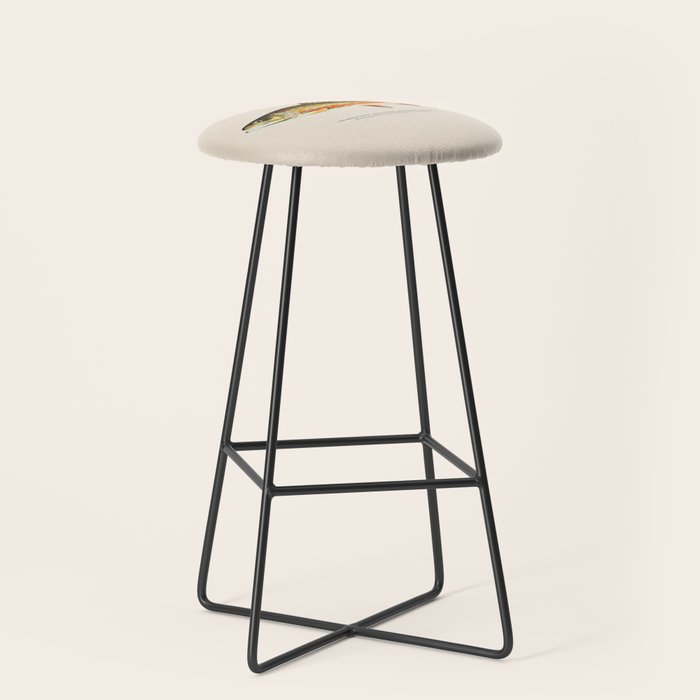 Brook Trout Stool Gallery Image 1