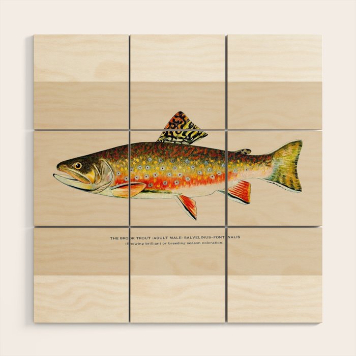 Brook Trout Wood Wall Art Gallery Image 1