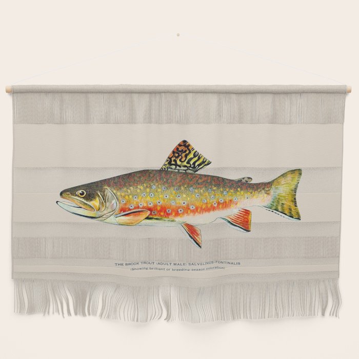 Brook Trout Wall Hanging Gallery Image 1