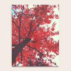 Autumn Red 2 Notebook Gallery Image 4