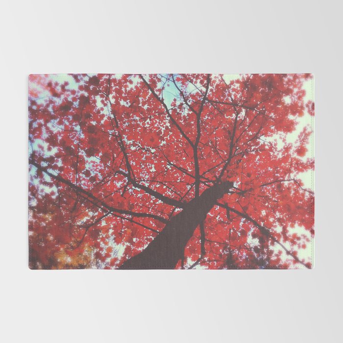 Autumn Red 2 Rug Gallery Image 2