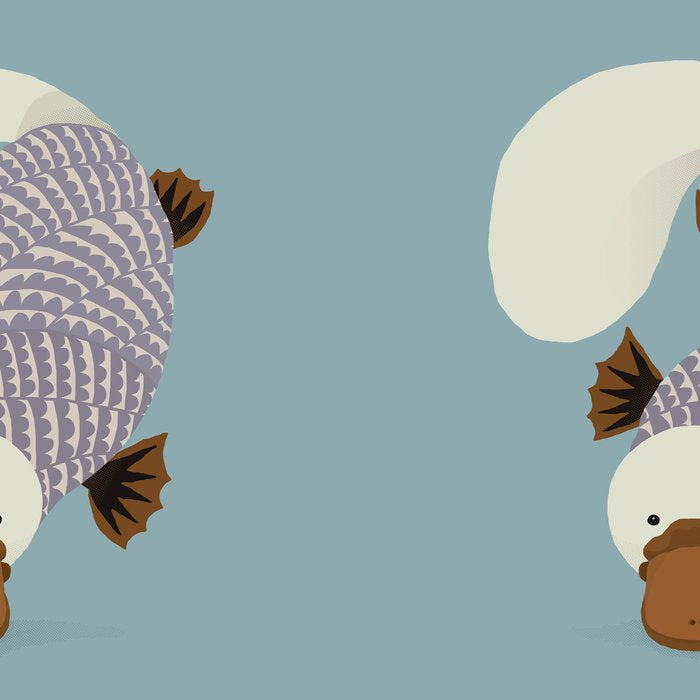 Whimsical Platypus Coffee Mug Gallery Image 2