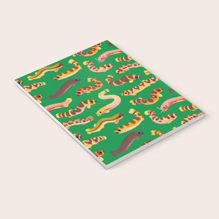 Pangio loaches (Kuhli loach) Notebook Gallery Image 3