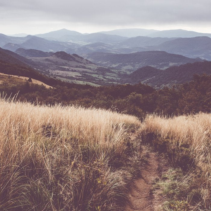 Bieszczady Mountains - Landscape and Nature Photography Coffee Mug Gallery Image 2