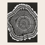 Growth Rings - 65 Years - Black Poster Gallery Image 4