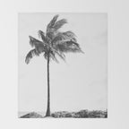 Maui Palm Tree - Black and White Photography Throw Blanket Gallery Image 2