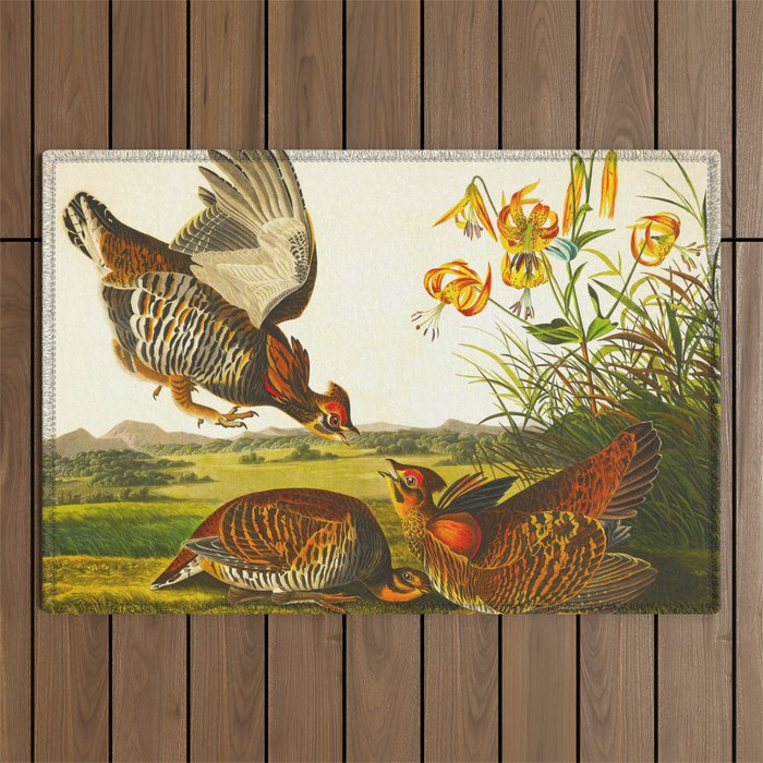 Pinnated Grouse Bird Outdoor Rug Gallery Image 1