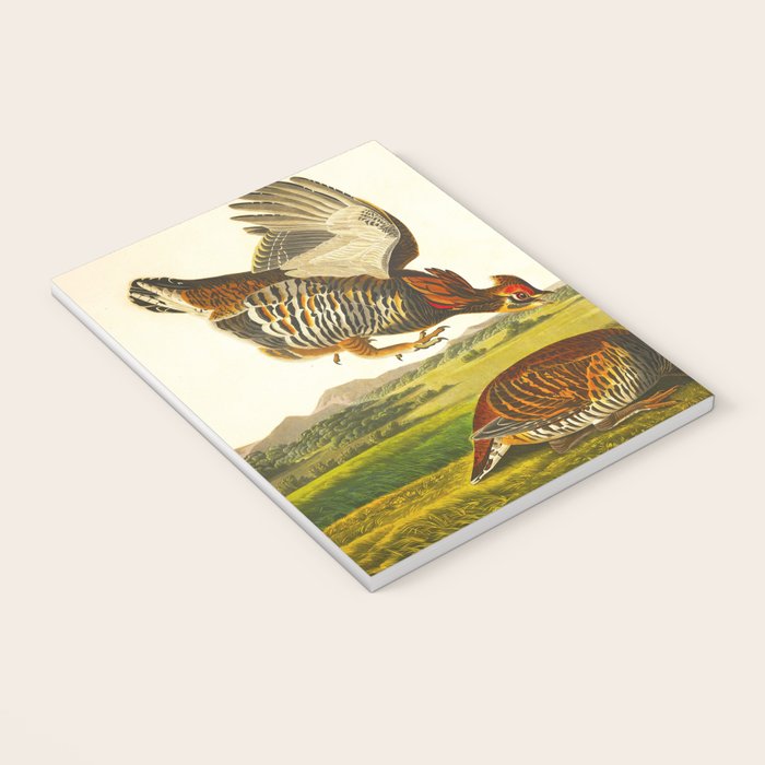 Pinnated Grouse Bird Notebook Gallery Image 3
