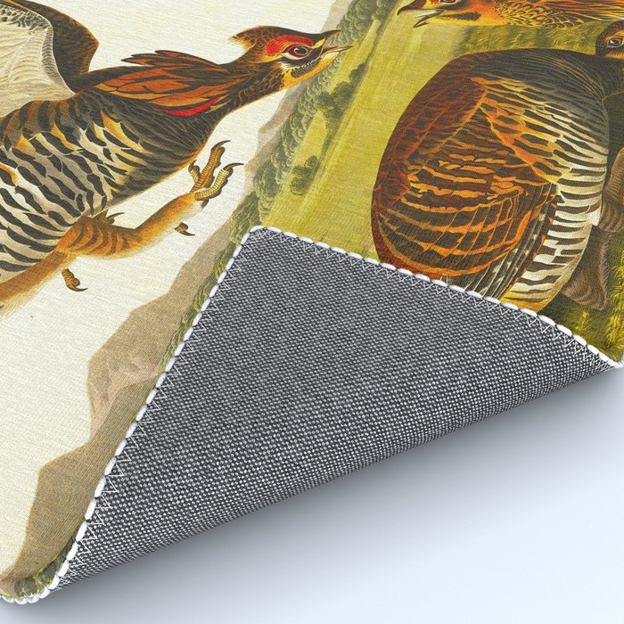 Pinnated Grouse Bird Rug Gallery Image 4