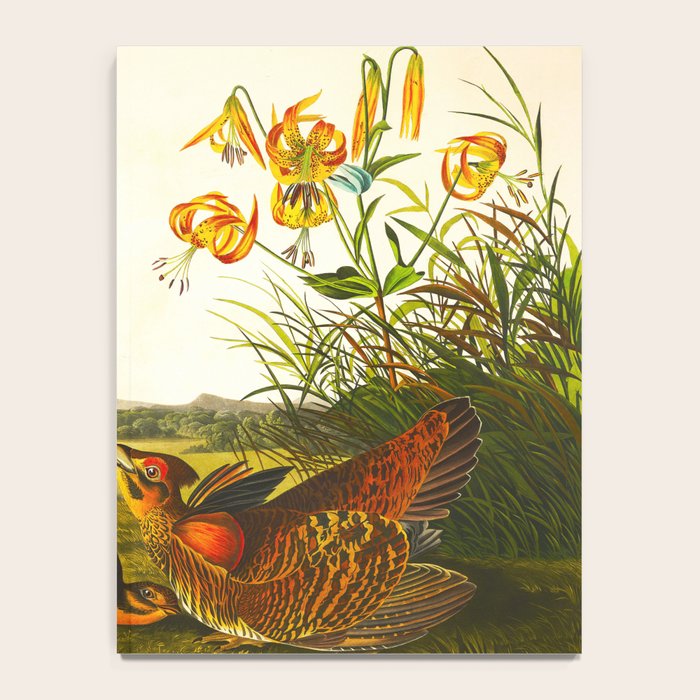 Pinnated Grouse Bird Notebook Gallery Image 4