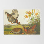 Pinnated Grouse Bird Rug Gallery Image 2
