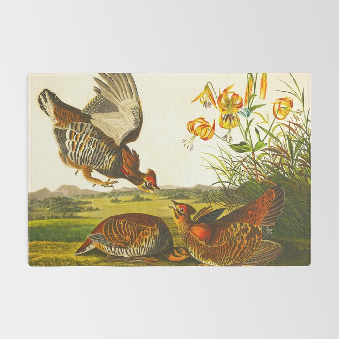 Pinnated Grouse Bird Rug Gallery Image 2