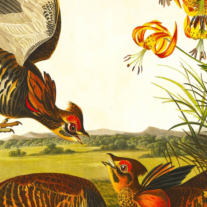 Pinnated Grouse Bird Coffee Mug Gallery Image 2