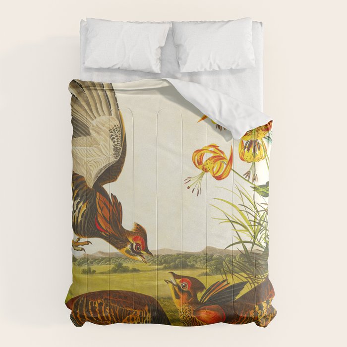 Pinnated Grouse Bird Comforter Gallery Image 6