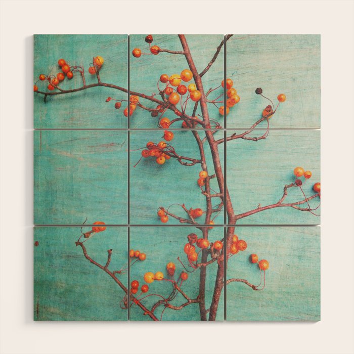 She Hung Her Dreams on Branches - autumn botanical still life photo cottage decor Wood Wall Art Gallery Image 1