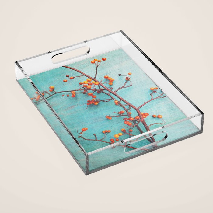 She Hung Her Dreams on Branches - autumn botanical still life photo cottage decor Acrylic Tray Gallery Image 1