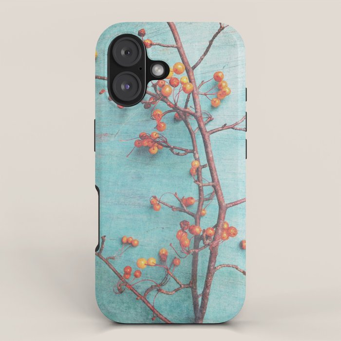 She Hung Her Dreams on Branches - autumn botanical still life photo cottage decor iPhone Case Gallery Image 1