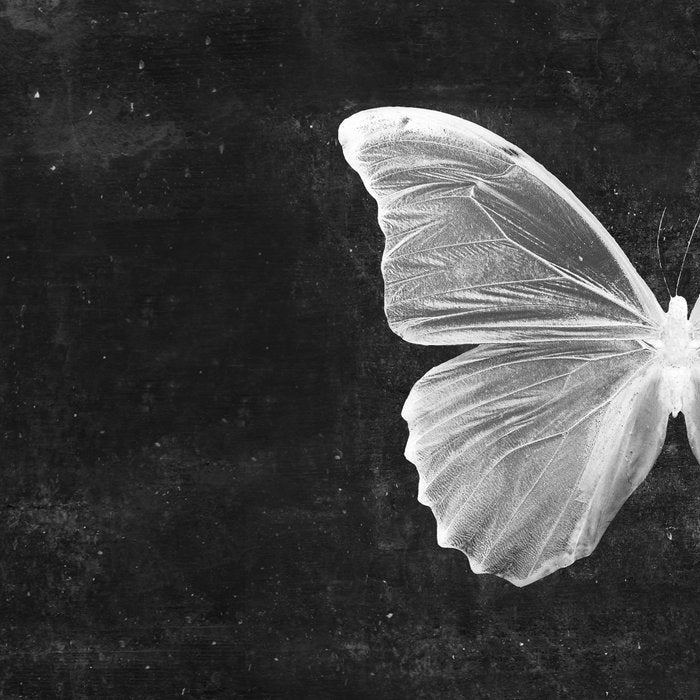 Butterfly in Black Coffee Mug Gallery Image 2