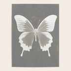 Butterfly on grunge surface Poster Gallery Image 4