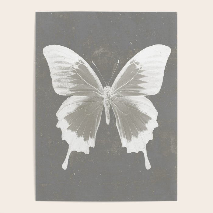 Butterfly on grunge surface Poster Gallery Image 4