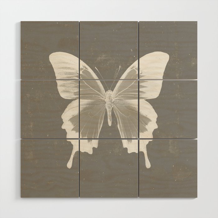 Butterfly on grunge surface Wood Wall Art Gallery Image 1