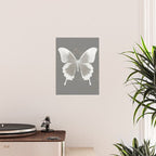 Butterfly on grunge surface Poster Gallery Image 2