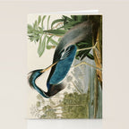 Louisiana Heron by John James Audubon  Stationery Card Gallery Image 2